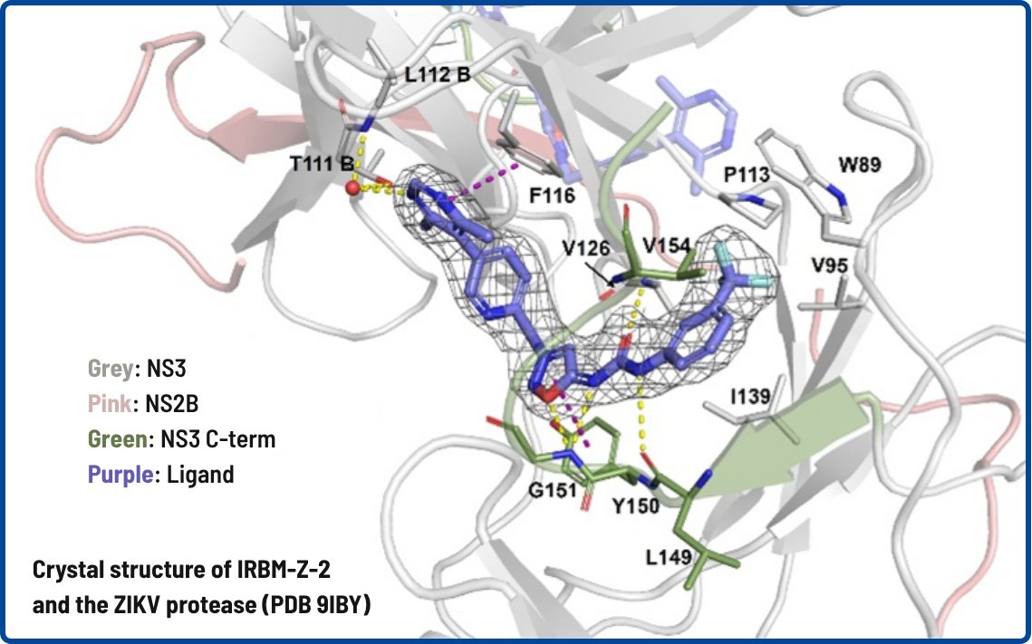Crystal structure of IRBM-Z-2 bound in the allosteric pocket of the ZIKV NS2B-NS3 protease